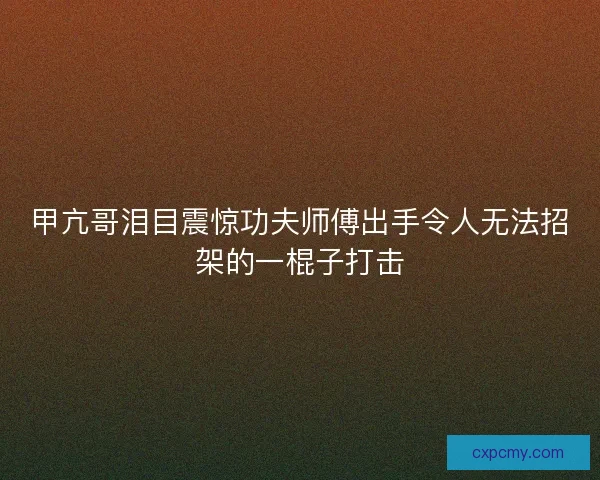 甲亢哥泪目震惊功夫师傅出手令人无法招架的一棍子打击
