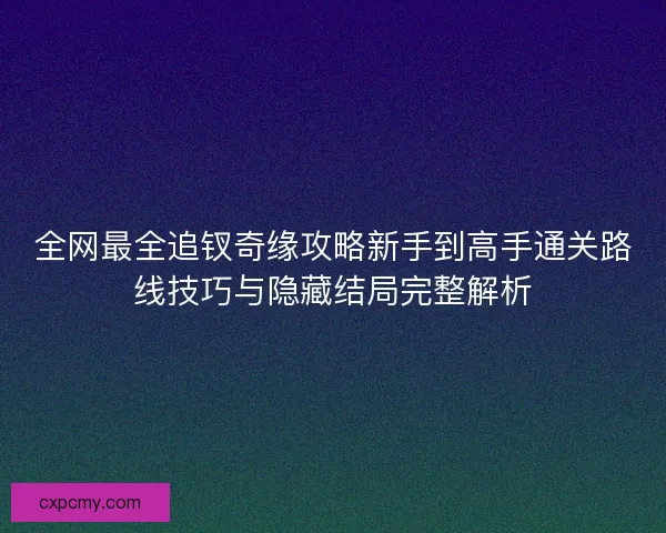 全网最全追钗奇缘攻略新手到高手通关路线技巧与隐藏结局完整解析