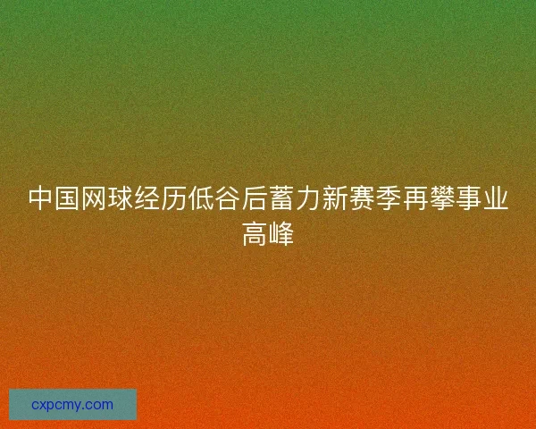 中国网球经历低谷后蓄力新赛季再攀事业高峰